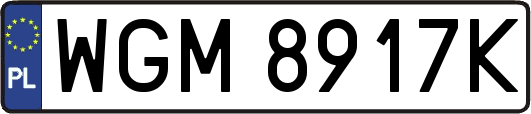 WGM8917K