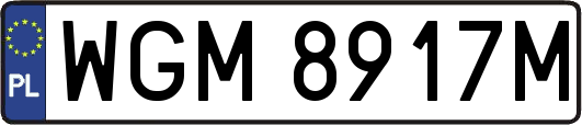 WGM8917M