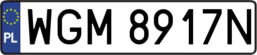 WGM8917N