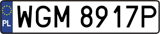 WGM8917P