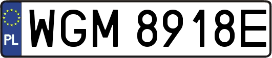 WGM8918E