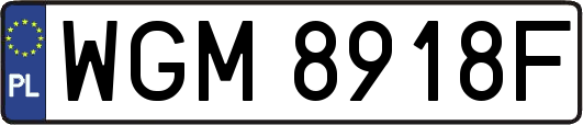 WGM8918F