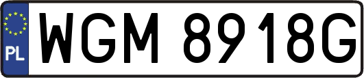 WGM8918G
