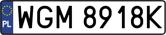 WGM8918K