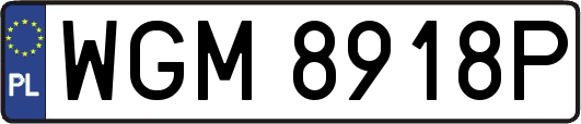 WGM8918P