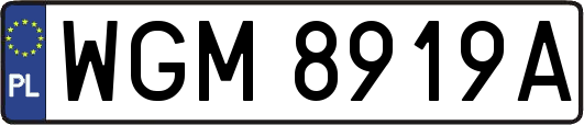 WGM8919A