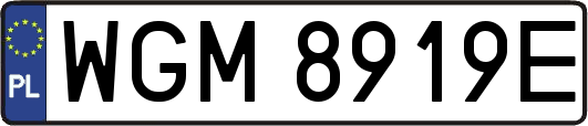 WGM8919E