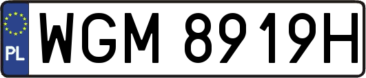 WGM8919H