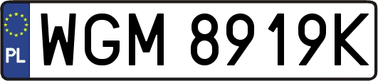 WGM8919K