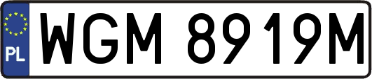 WGM8919M