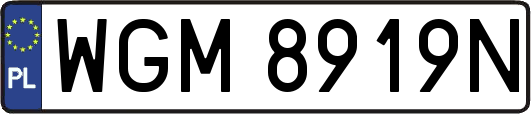 WGM8919N