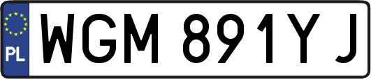 WGM891YJ