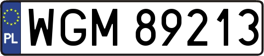 WGM89213