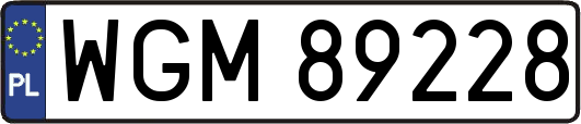 WGM89228