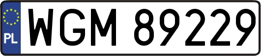 WGM89229