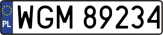 WGM89234