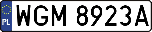 WGM8923A