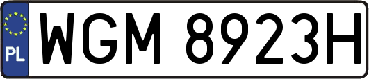 WGM8923H