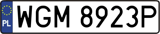 WGM8923P