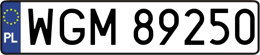 WGM89250
