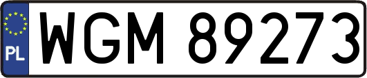 WGM89273