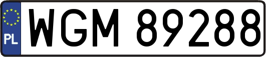 WGM89288