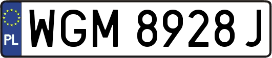 WGM8928J