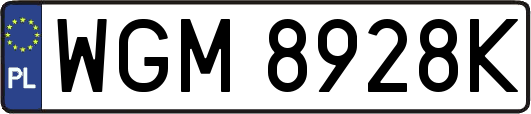 WGM8928K