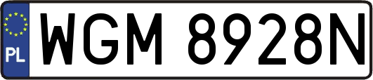 WGM8928N