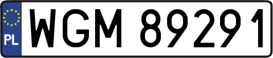 WGM89291