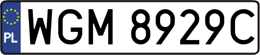 WGM8929C