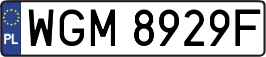 WGM8929F