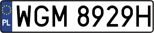 WGM8929H