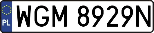 WGM8929N