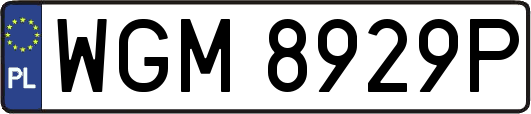 WGM8929P