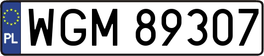WGM89307