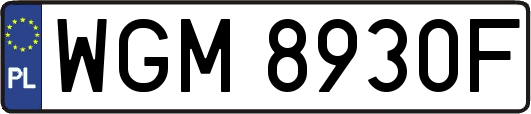 WGM8930F