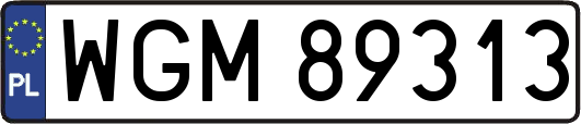 WGM89313