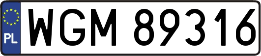 WGM89316