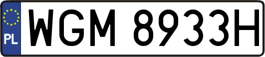 WGM8933H