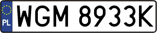 WGM8933K
