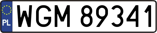 WGM89341