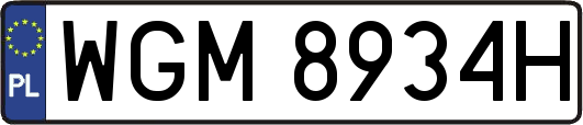 WGM8934H
