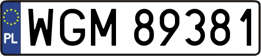 WGM89381