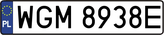 WGM8938E