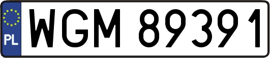 WGM89391