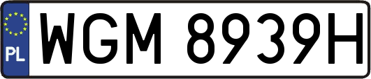 WGM8939H