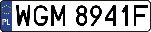 WGM8941F