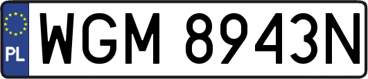 WGM8943N