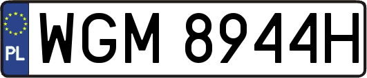 WGM8944H